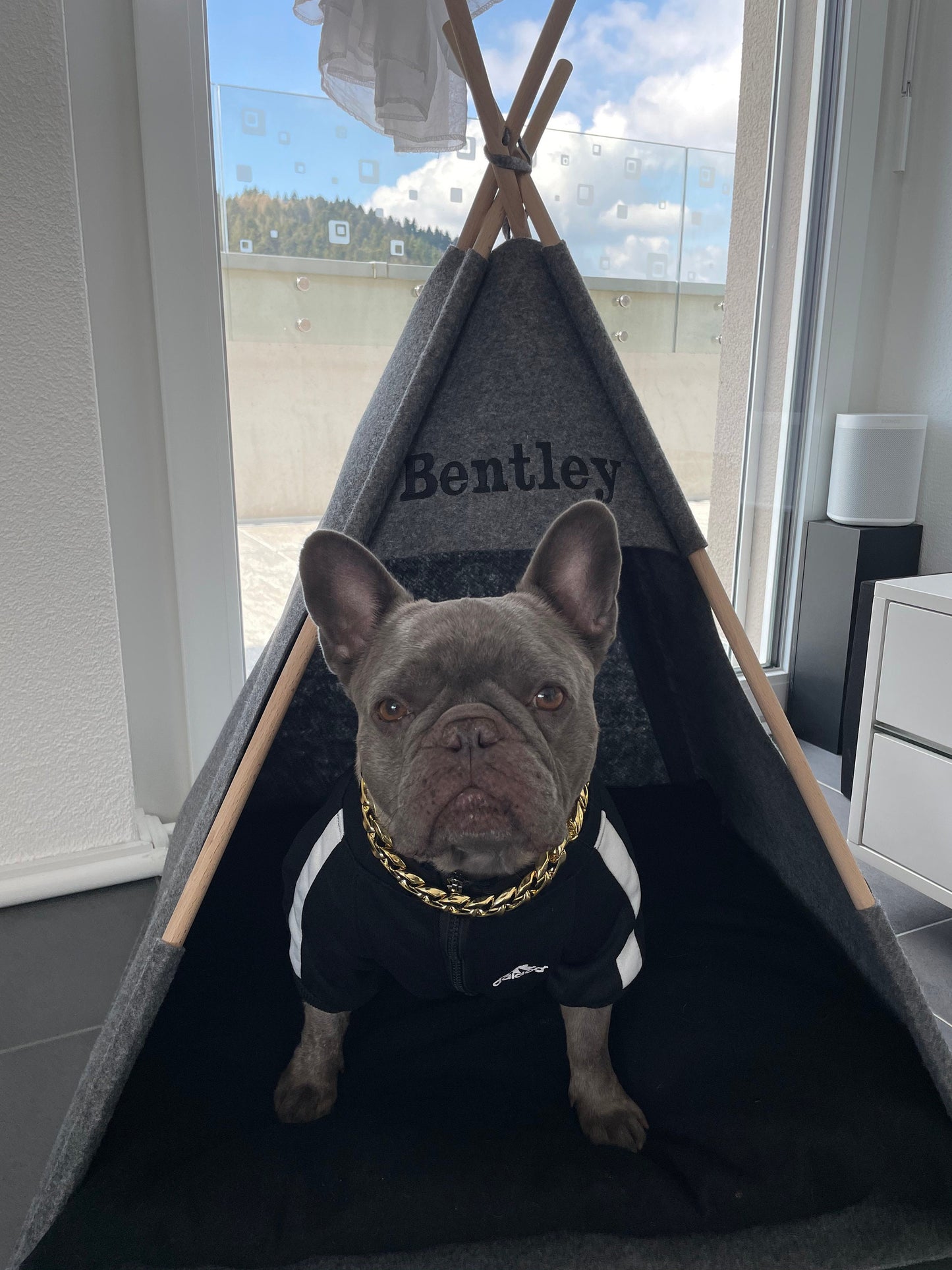 Dog Teepee bed puppy, Tent Gray Blacksoft eco friendly felt of strong form cozy place to relax Set with soft pillow Pets Bed For dog cats