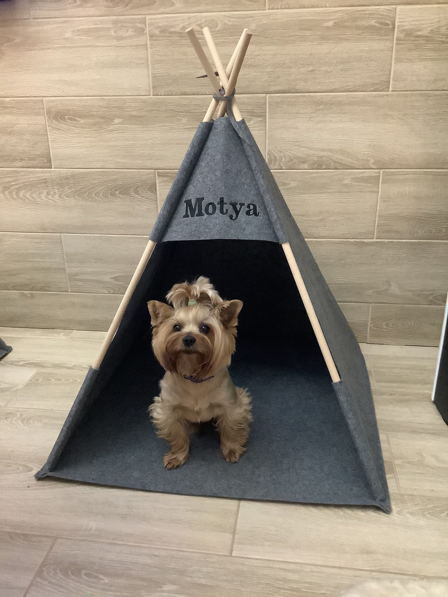 Dog bed, Teepee Pet House tent indoor furniture pet dog  cat with eco felt tent Chihuahua, Bulldog, rabbit, kitten-bed. Little pet. Tipi set