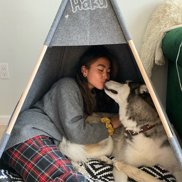 Cozy dog bed, pet bed, dog House, Personalized Teepee tent, Gray bed eco friendly felt of strong form cozy place relax, Bed for Cats, bunny