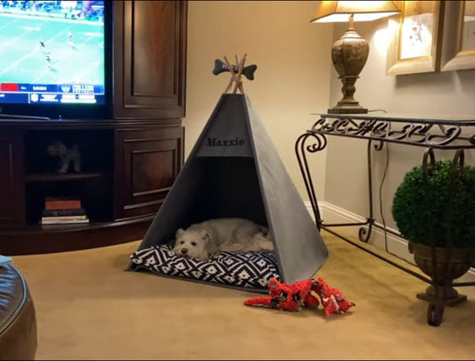 Pet bed, Teepee dog house Puptent, Grey soft eco-friendly felt of a strong form cozy place relax, personalized corgi, Pets dog cat rabbit