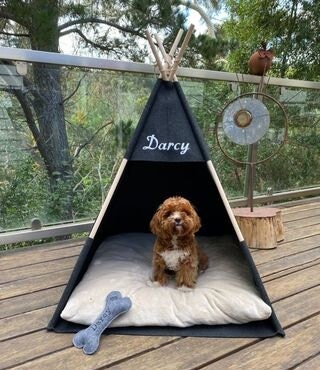 Cat house, dog bed house Teepee, cat cave bed, dog house sign, Puppy pillow tent, eco-friendly felt, strong form cozy place relax, Pets cat