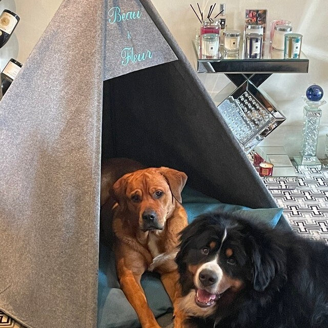 Dog Teepee bed puppy, Tent Gray Blacksoft eco friendly felt of strong form cozy place to relax  Set with soft pillow Pets Bed  For dog cats