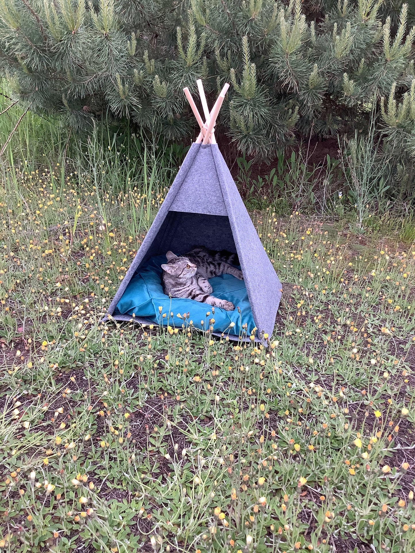 Pet bed, Teepee dog house Puptent, Grey soft eco-friendly felt of a strong form cozy place relax, personalized corgi, Pets dog cat rabbit