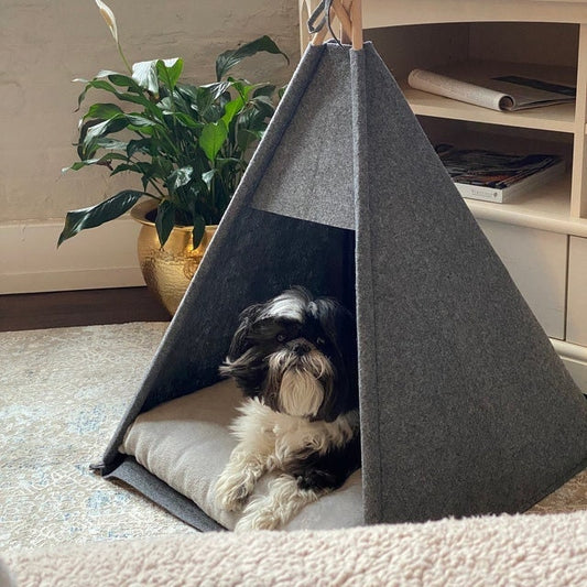 Tipi pour chien et chat  Cat teepee, Modern cat bed, Pet teepee